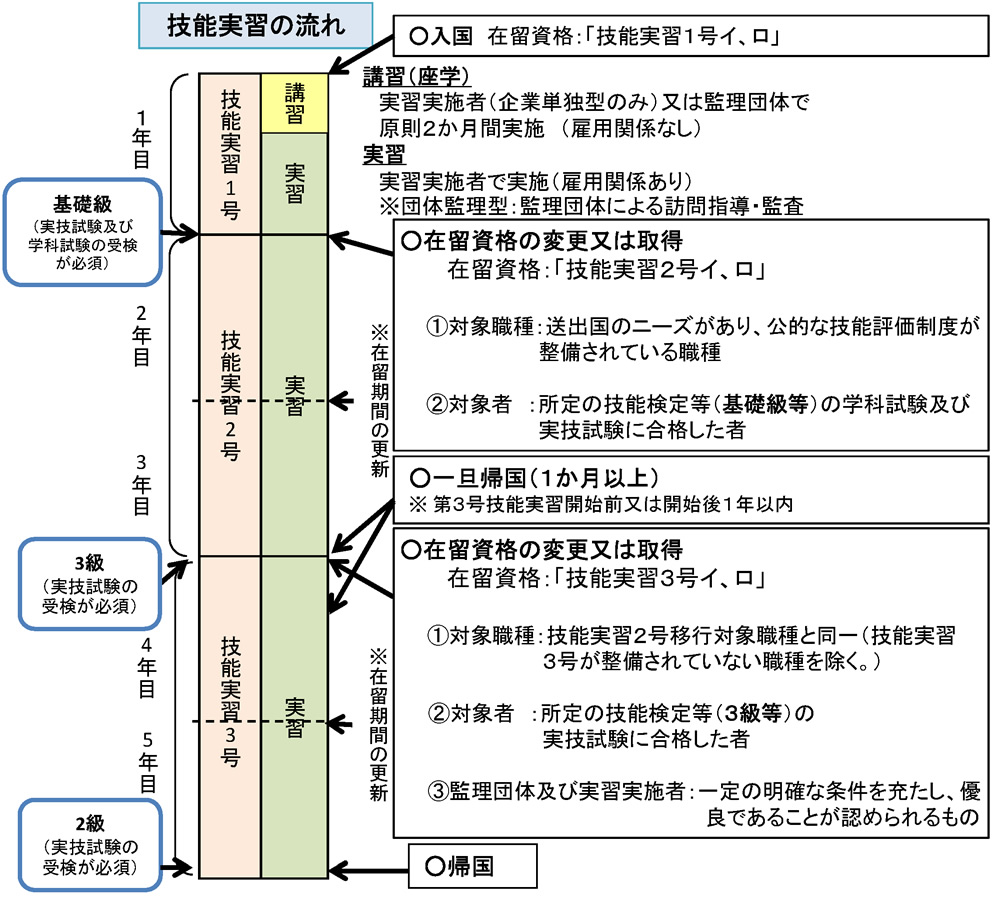 技能実習の流れ。講習は監理団体で原則2ヵ月間実施。実習は実習実施者で実施。